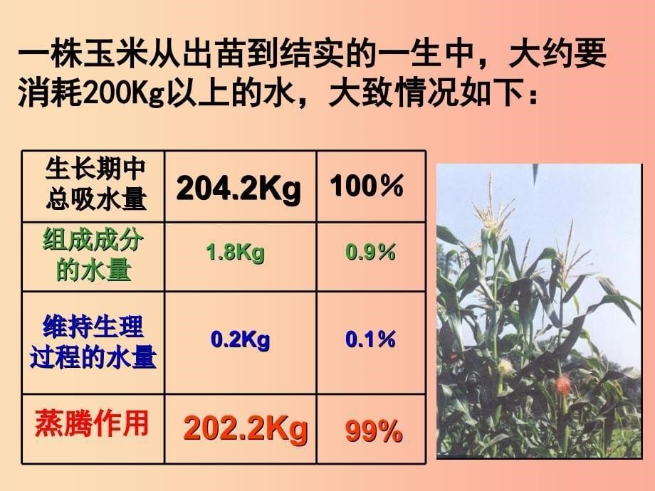 2019年七年级生物上册3.3绿色植物与生物圈的水循环课件1 新人教版.ppt_第5页