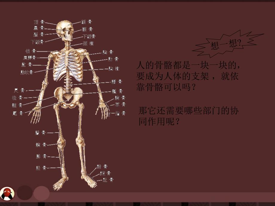 高中体育课件人体和运动_第2页