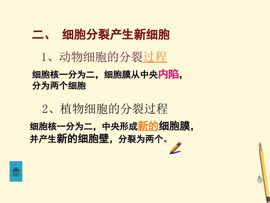 七年级生物(上)细胞分裂和分化_第3页