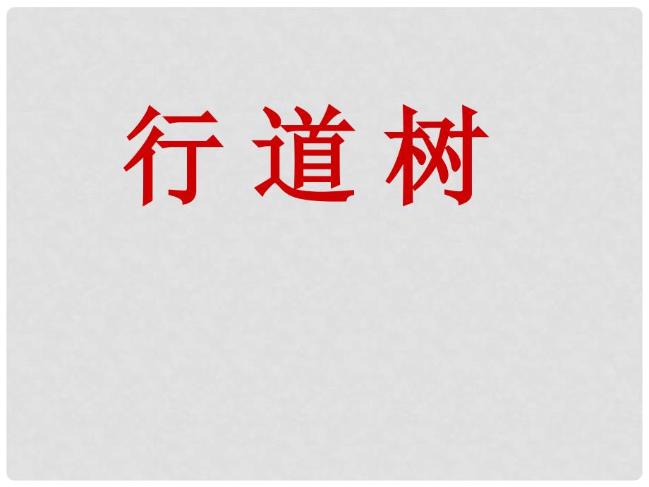 六年级语文下册《行道树》课件1 鲁教版_第1页