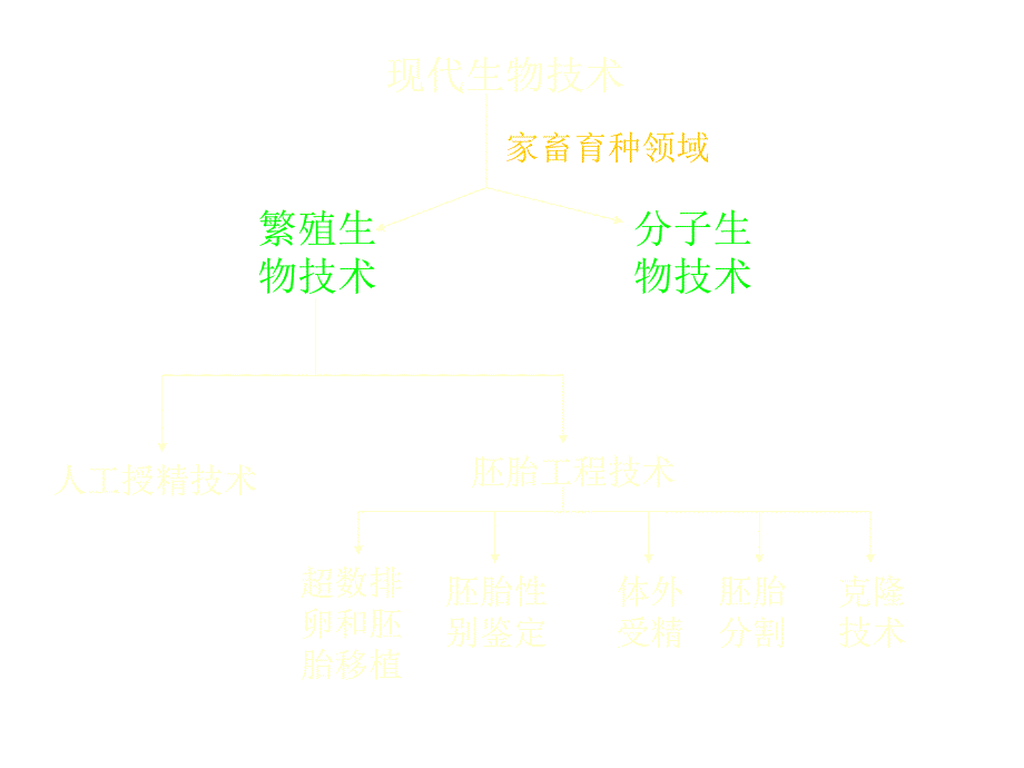 05动物胚胎移植技术及体外受精_第2页