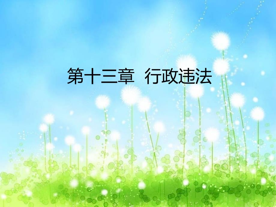行政违法课件_第1页