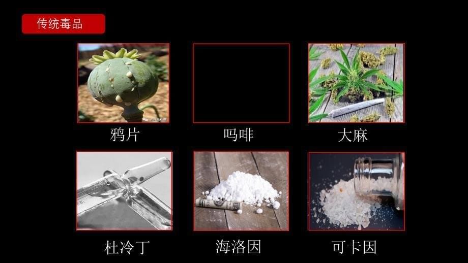 黑色珍爱生命远离毒品国际禁毒日禁毒宣传教学课件_第5页