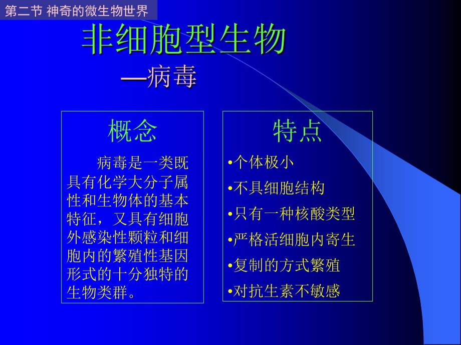 丰富多采的生物世界.ppt_第3页