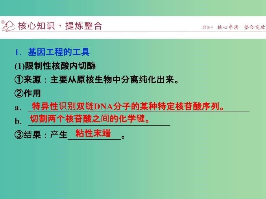 （浙江专用）高考生物二轮复习 专题八 现代生物科技专题 第1讲 基因工程和克隆技术课件.ppt_第5页