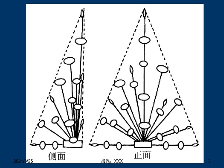 三角形插花作品制作步骤PPT课件_第3页