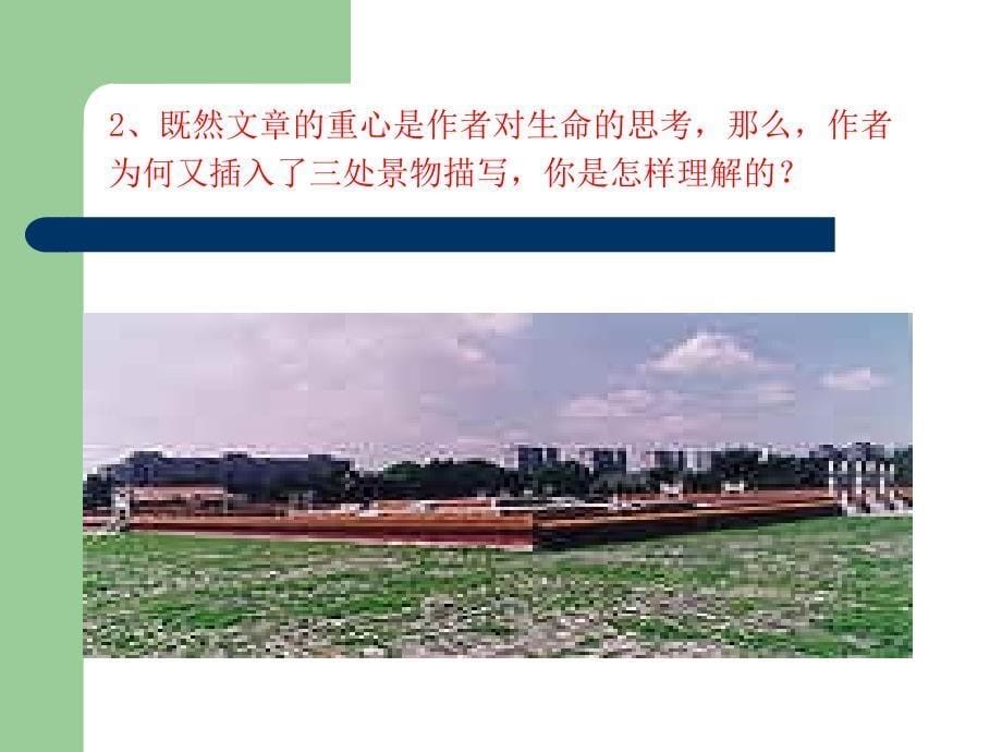 099427《我与地坛》蔡建泉_第5页