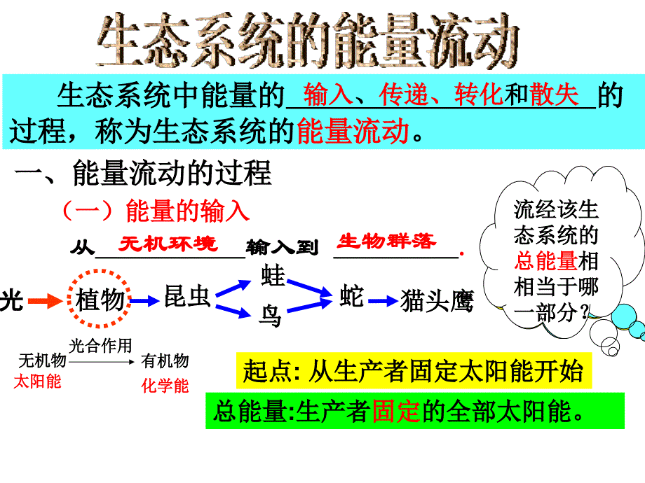 能量流动和物质循环复习_第4页