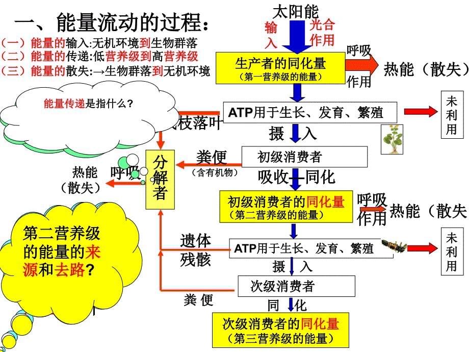 能量流动和物质循环复习_第5页