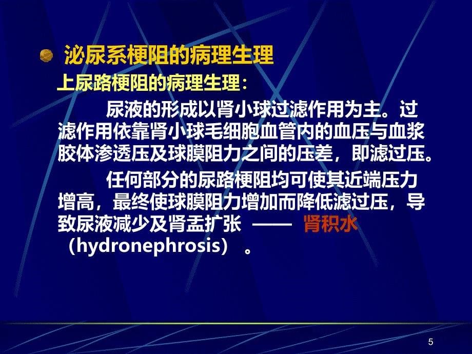 泌尿系统梗阻PPT课件.ppt_第5页