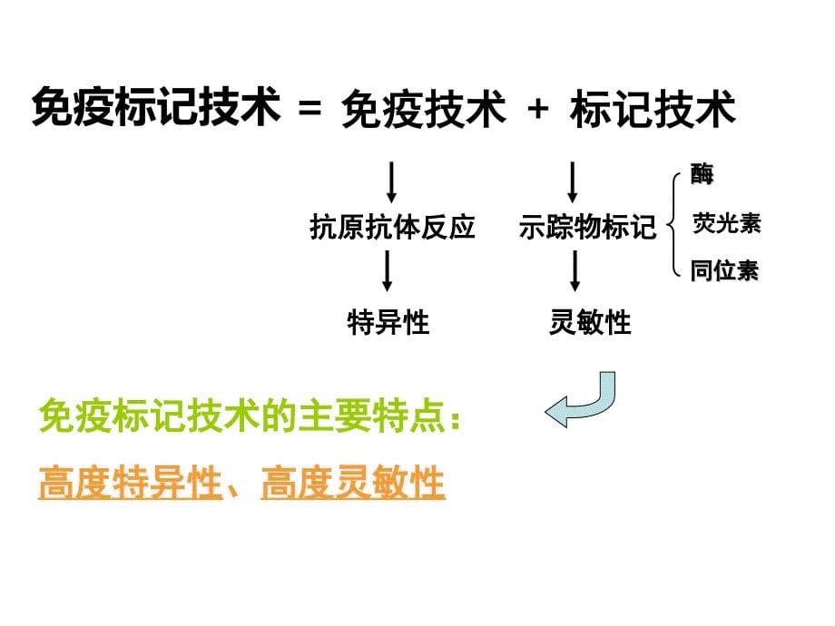 酶联免疫吸附实验.ppt_第5页