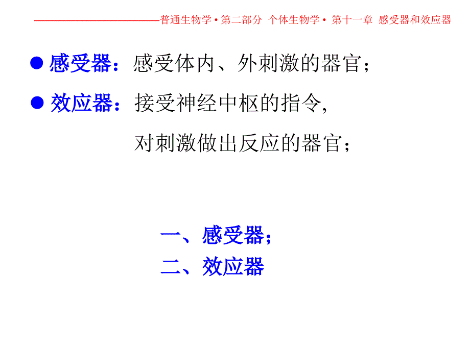 十一章感受器和效应器_第2页