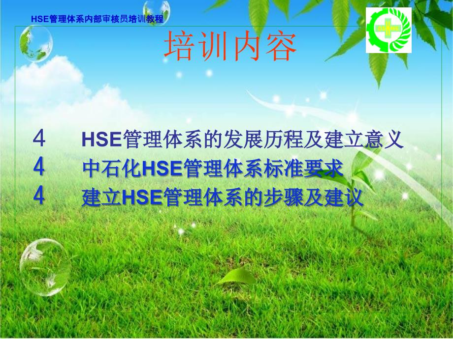 HSE管理体系领导意识培训_第2页