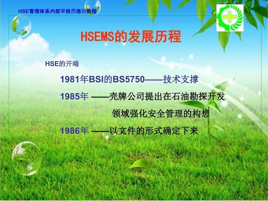 HSE管理体系领导意识培训_第5页