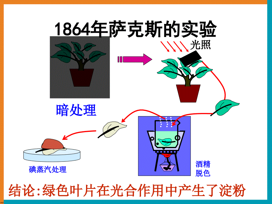 浙江省温州市高二生物《光合作用》课件 浙科版必修1_第3页