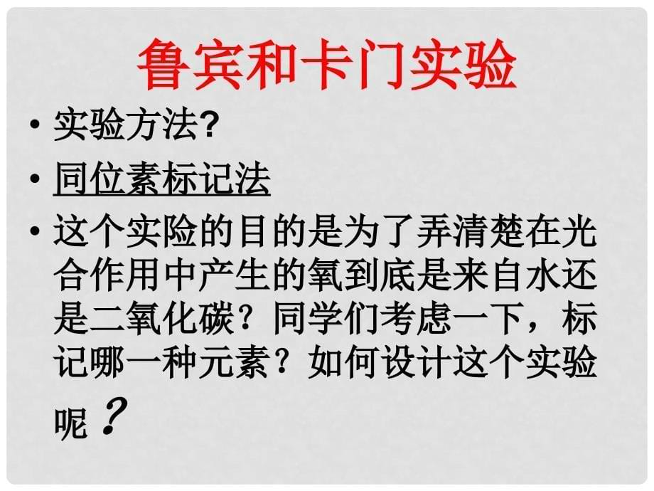 浙江省温州市高二生物《光合作用》课件 浙科版必修1_第5页