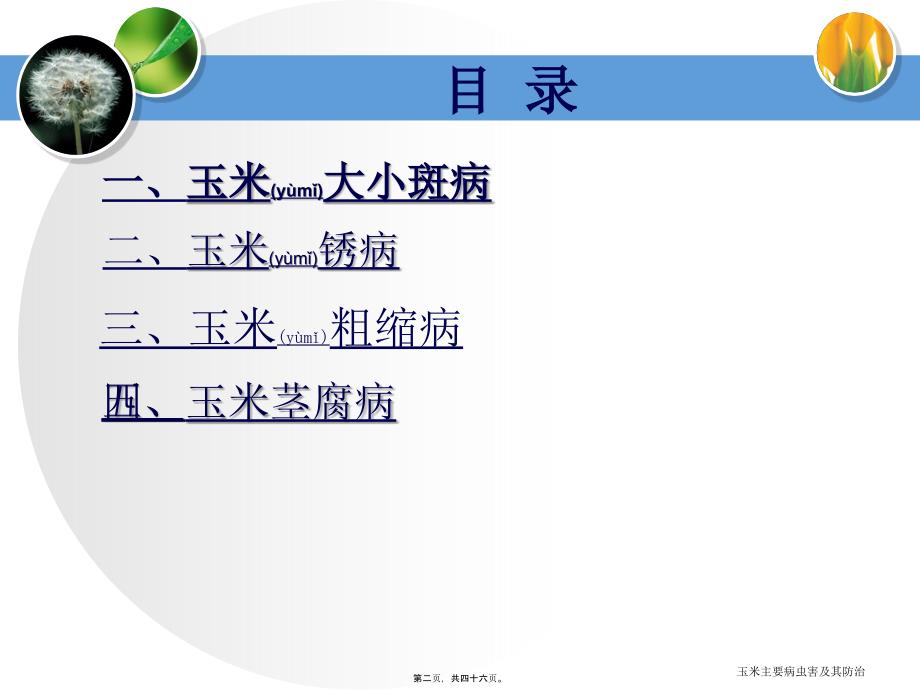 玉米主要病虫害及其防治课件_第2页