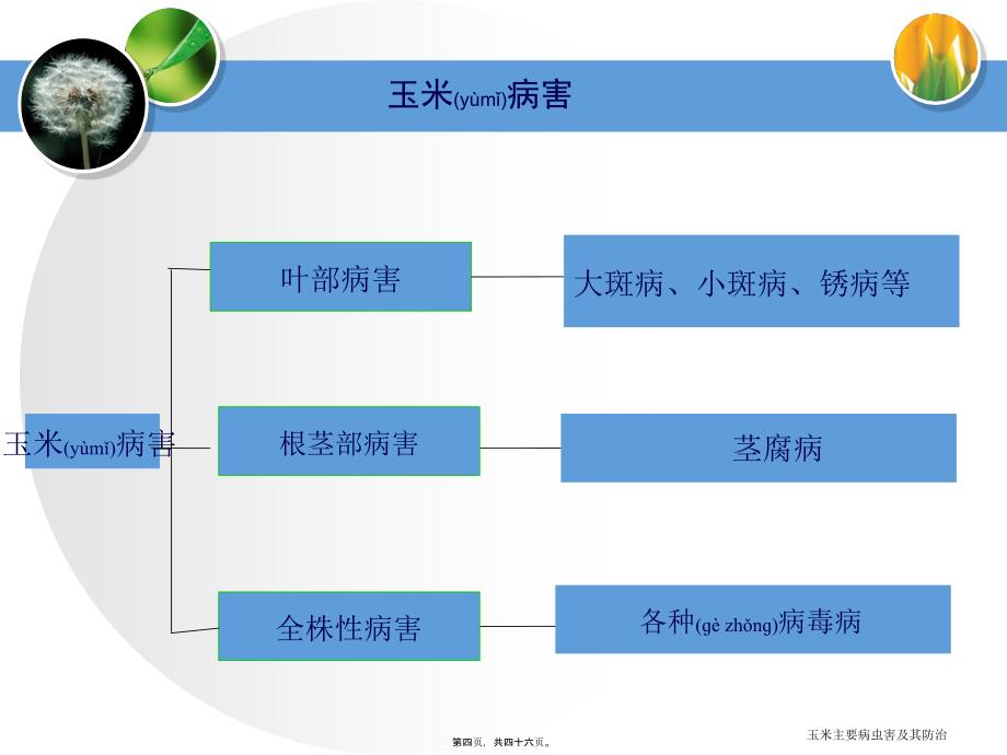 玉米主要病虫害及其防治课件_第4页