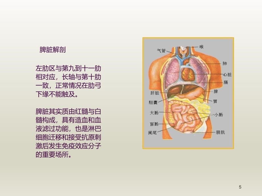 急诊科护理查房ppt课件_第5页