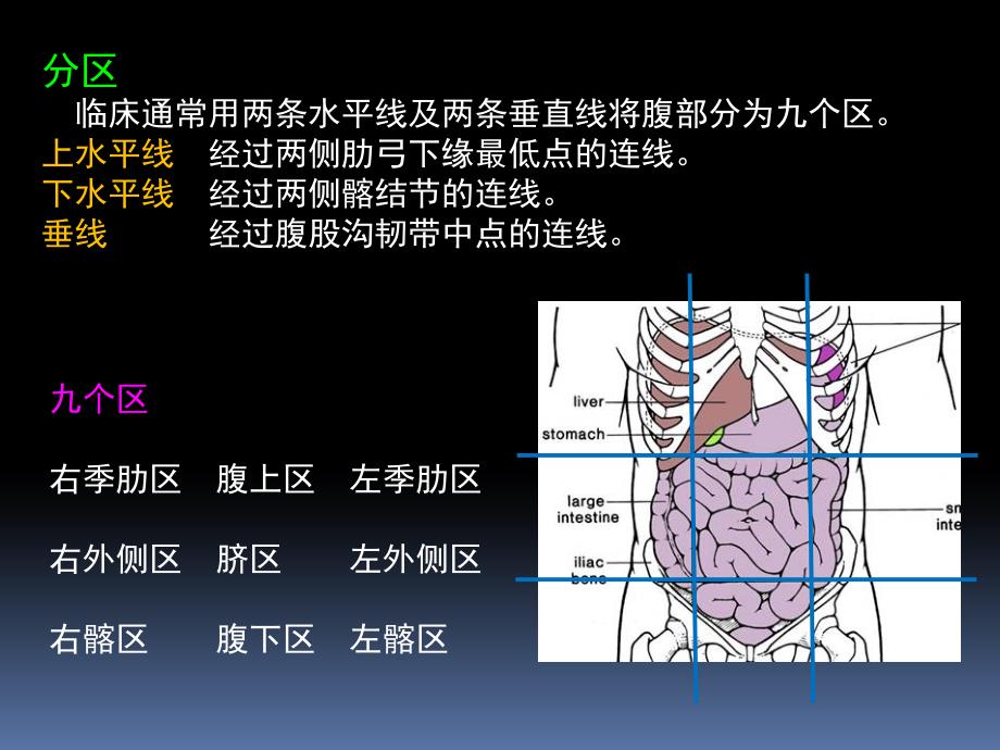 罗英瑾11 腹部_第4页