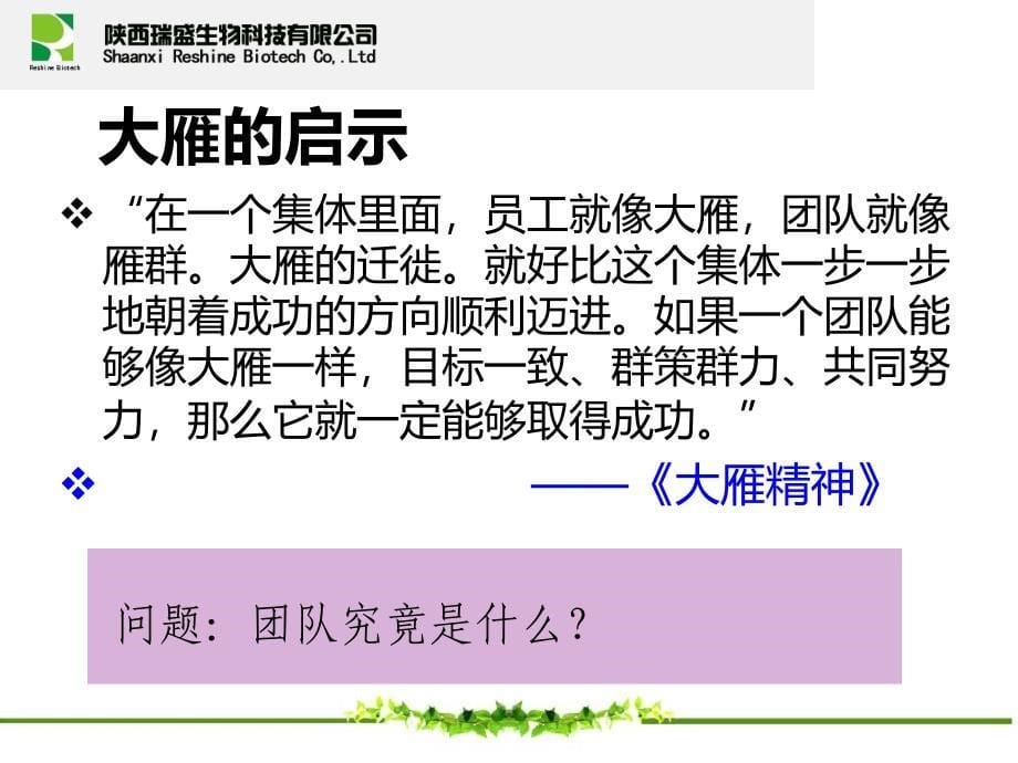 公司团队建设的内涵.ppt_第5页