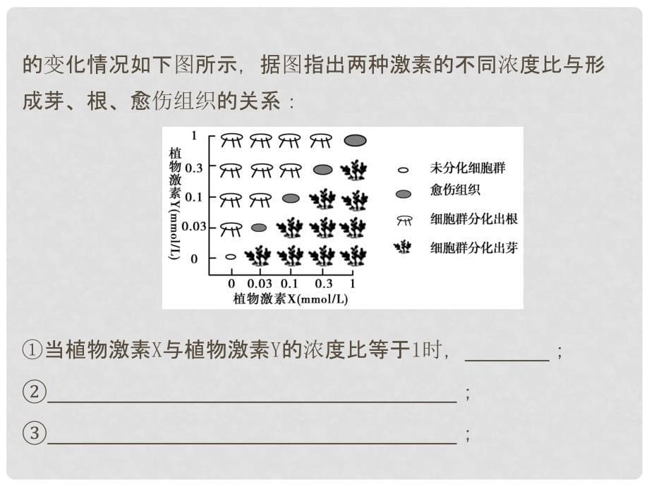 高考生物一轮复习 专题2 细胞工程课件 新人教版选修3_第5页