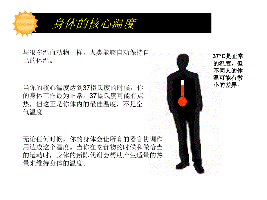 夏季工作伤害预防培训讲座PPT.ppt_第4页