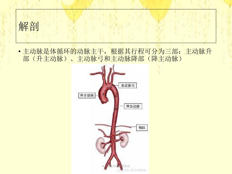 主动脉夹层护理查房_第4页