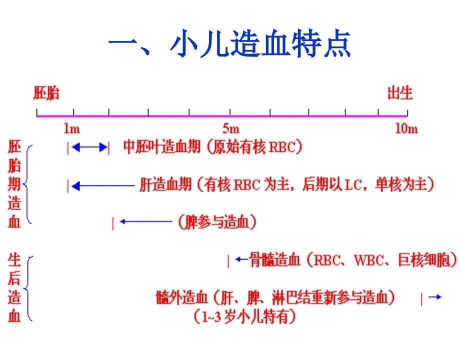 儿科学造血系统疾病_第5页