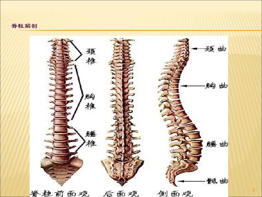 经皮椎体成形术的护理ppt课件_第3页