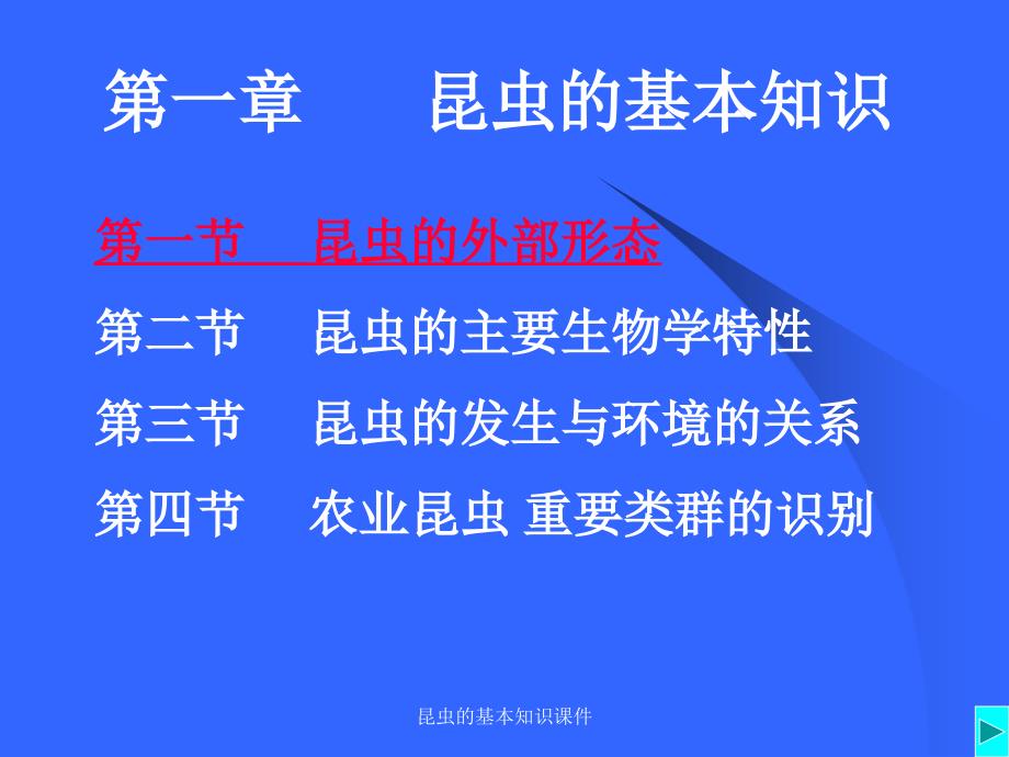 昆虫的基本知识课件_第1页