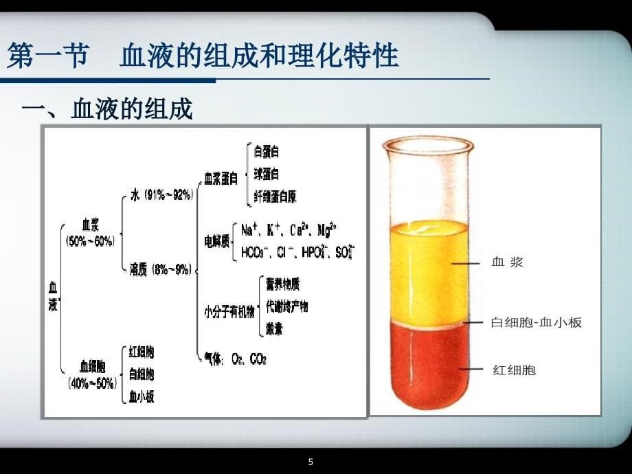 血液的组成及理化特性ppt课件_第5页