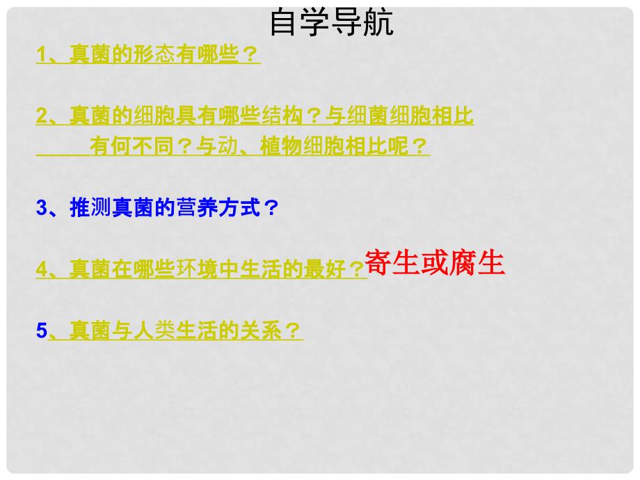 辽宁省辽阳市八年级生物上册 14.3 神奇微生物 真菌和病毒课件 （新版）苏教版_第3页