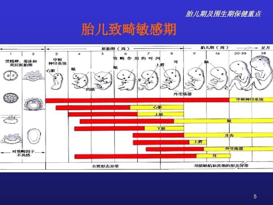 儿童卫生保健ppt课件_第5页