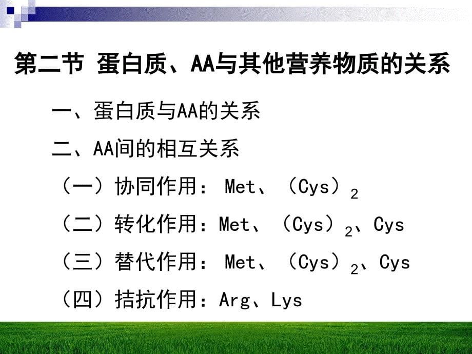 九章节各类营养物质间相互关系_第5页