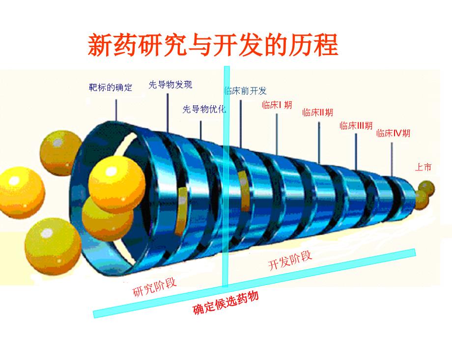 先导化合物的优化与候选药物的确定郭宗儒 上海药物所_第4页