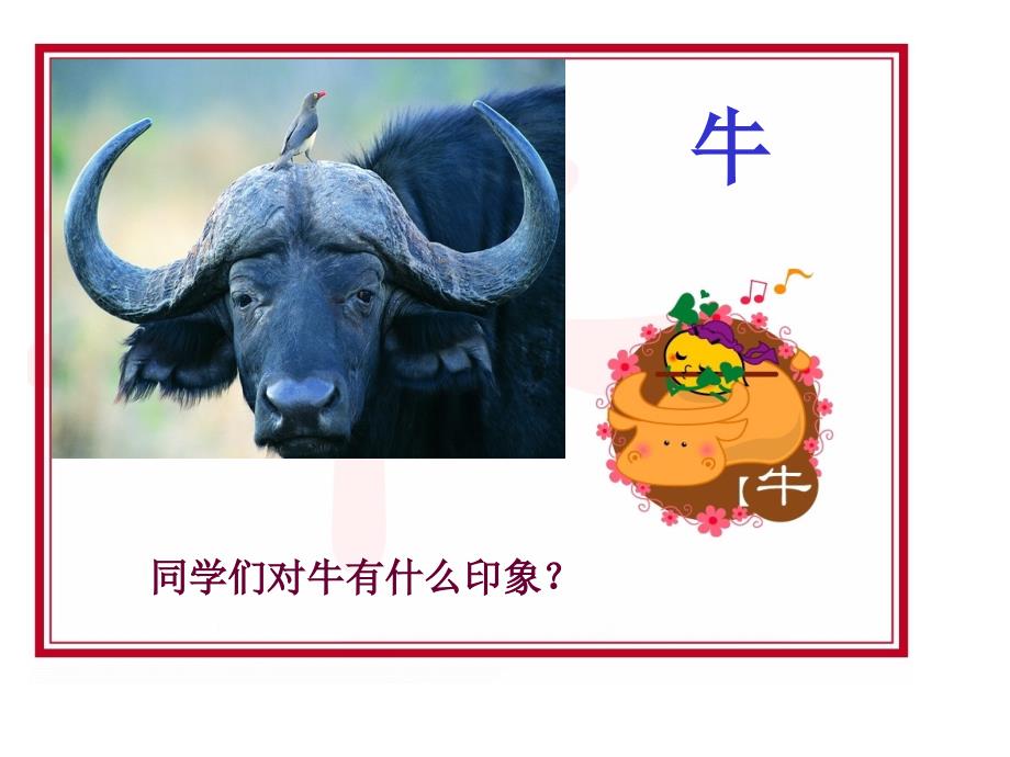 《牛和鹅2》PPT(北师大版下)PPT课件_第2页