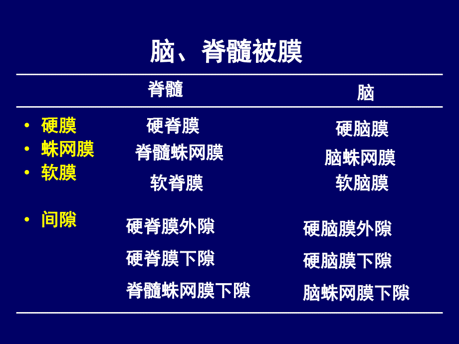 16脑脊膜血管脑脊液内分泌_第4页