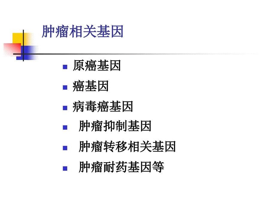 肿瘤基因诊断_第5页