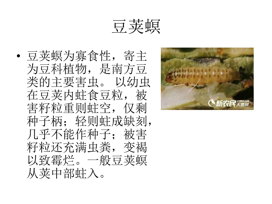 蔬菜常见虫害识别手册2分析_第4页