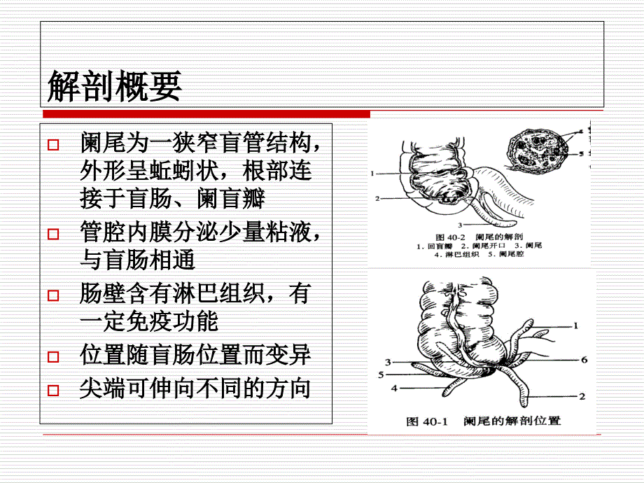 阑尾炎护理查房课件_第2页