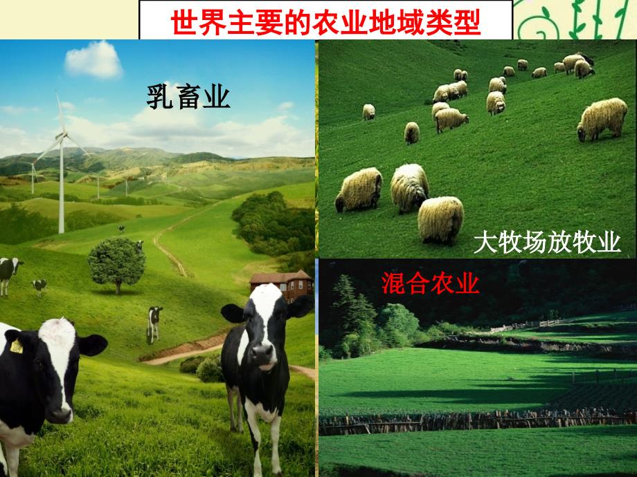 澳大利亚的混合农业---_第1页