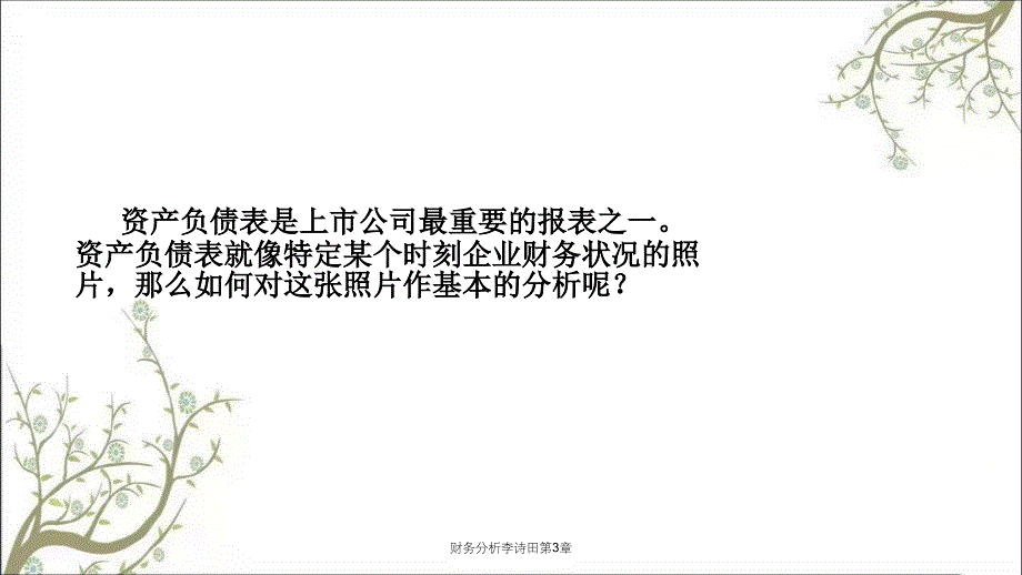 财务分析李诗田第3章课件_第2页