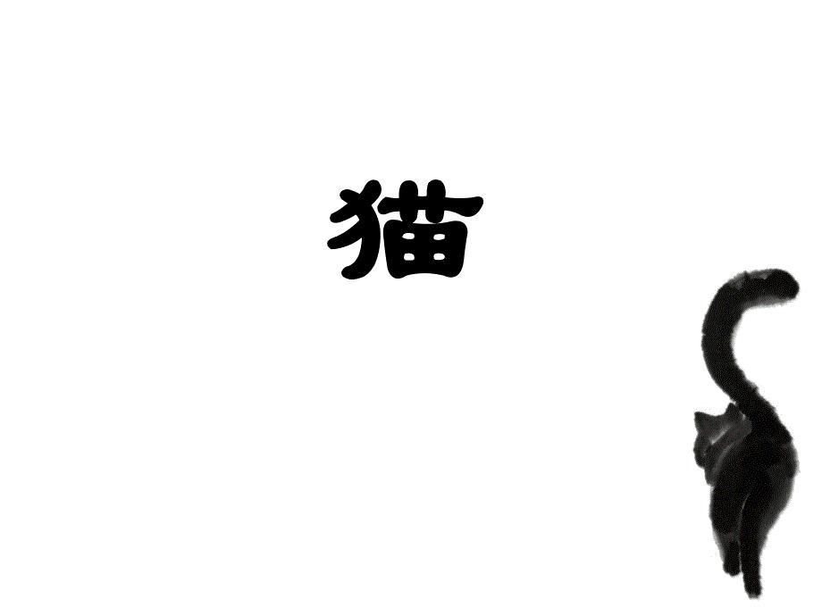 猫 课件教案讲解