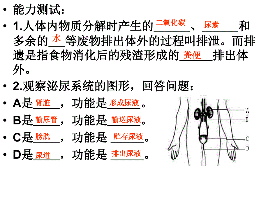 第五章废物的排出_第2页