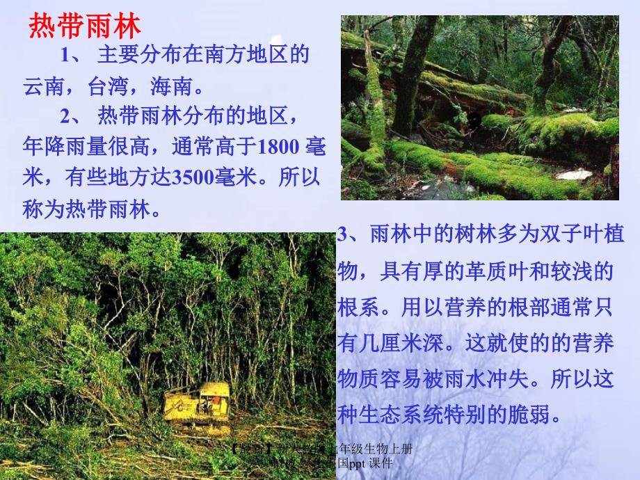 最新七年级生物上册爱护植被绿化祖国ppt_第4页