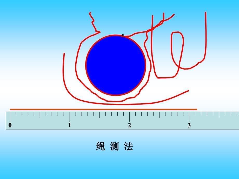 六年级数学上册课件5.2圆的周长15人教版共20张PPT_第5页