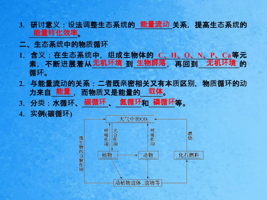 生态系统的能量流动和物质循环2ppt课件_第3页