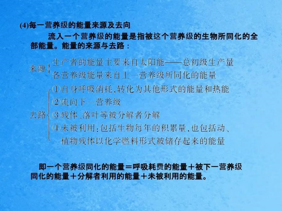 生态系统的能量流动和物质循环2ppt课件_第5页