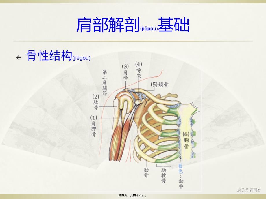 肩关节周围炎课件_第4页